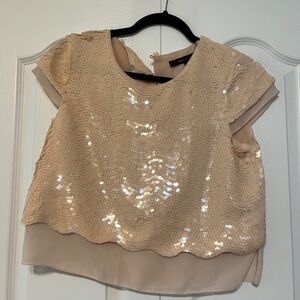 Sparkle Pink Blouse.